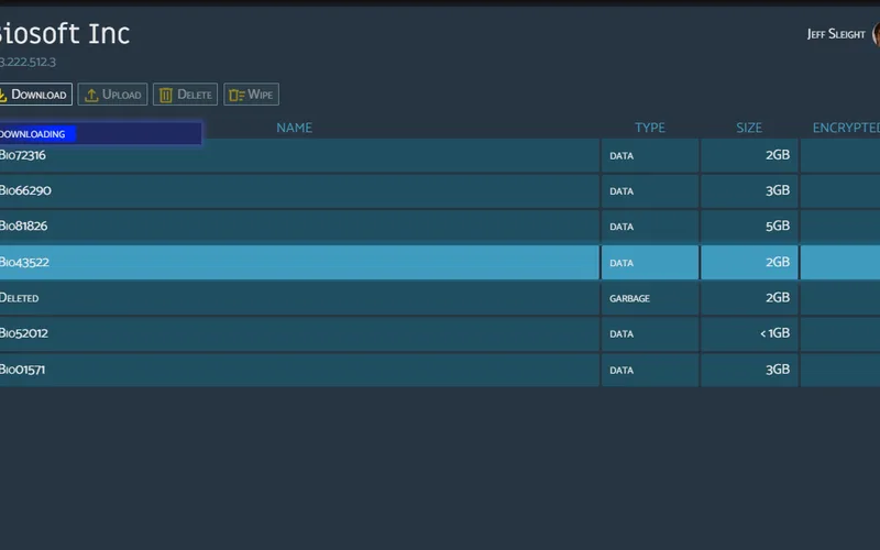 Download screen showing the file transfer completing inside the terminal